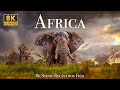 Africa 8K Scenic Relaxation Film With Calming Music