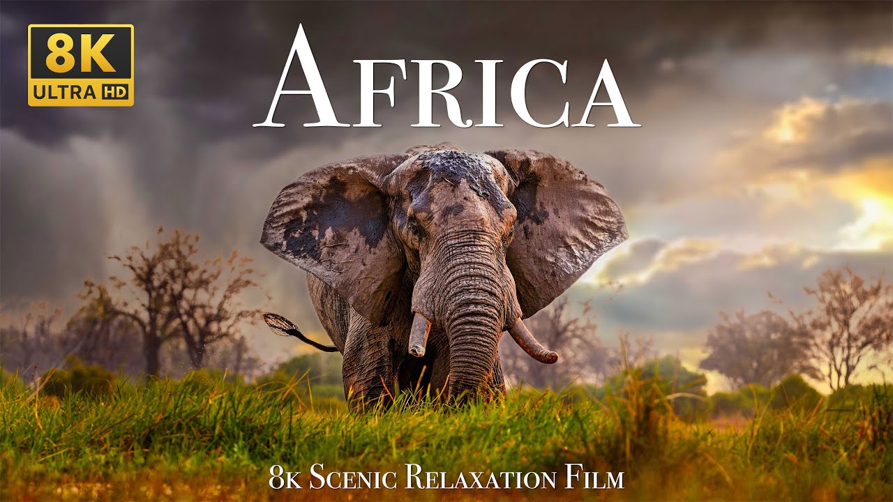 Africa 8K - Scenic Relaxation Film With Calming Music