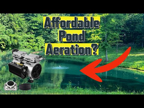 The BEST budget Pond Aerator!- VEVOR Pond aerator
