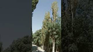 Download lagu 31-iyul, 2023 mp3