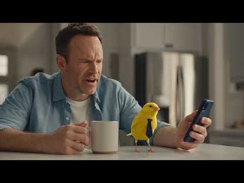 When Everything You Own Forms an Alliance | Canary Financial Personal Loans ($2,000–$100,000)
