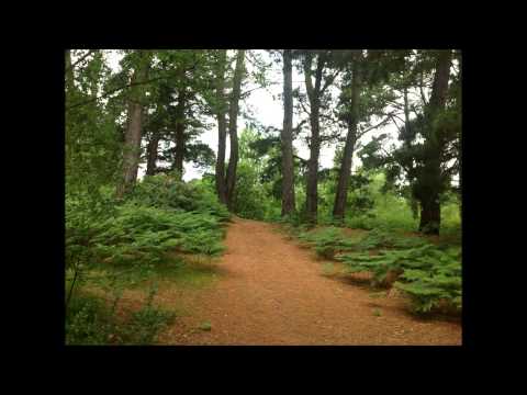 download lagu mp3 mp4 My Roots Photography, download lagu My Roots Photography gratis, unduh video klip My Roots Photography