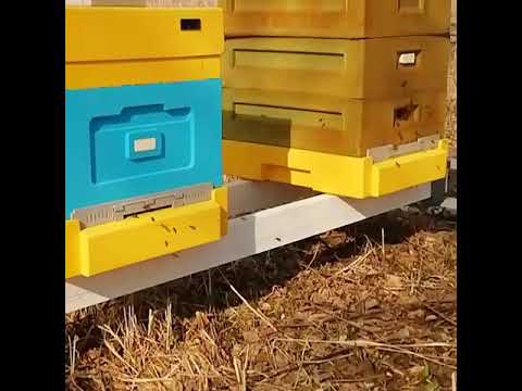 Подставка для ульев Lyson и Нижегородец своими руками