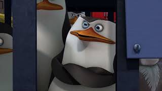 The Penguins of Madagascar - Skipper insults Julian