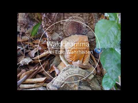 Zwei Edle Wahrheiten