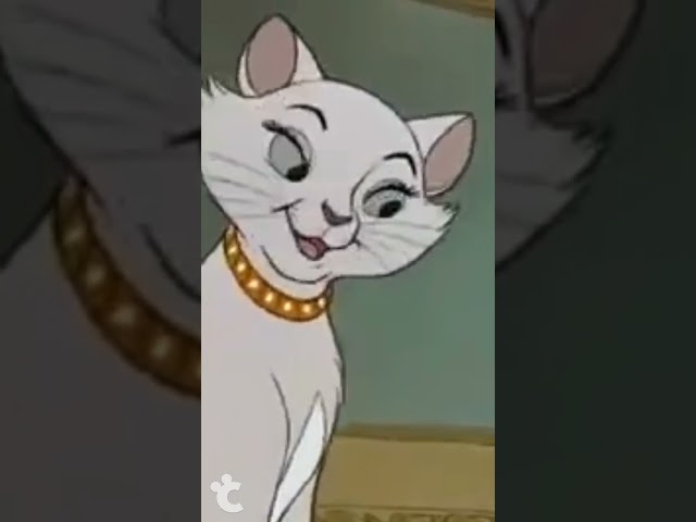 Vídeo relacionado con Disney Pijama Corto | Pijamas Mujer Los Aristogatos Gris Small
