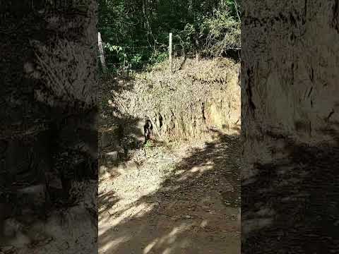 túnel ponto turístico em sumidouro região serrana do Rio de janeiro vale apena visitar 😌♥️