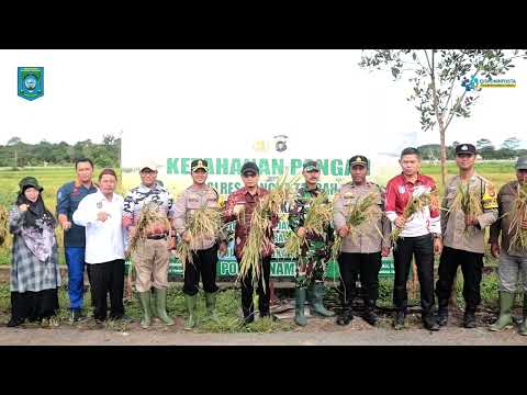 Panen Raya Desa Namang