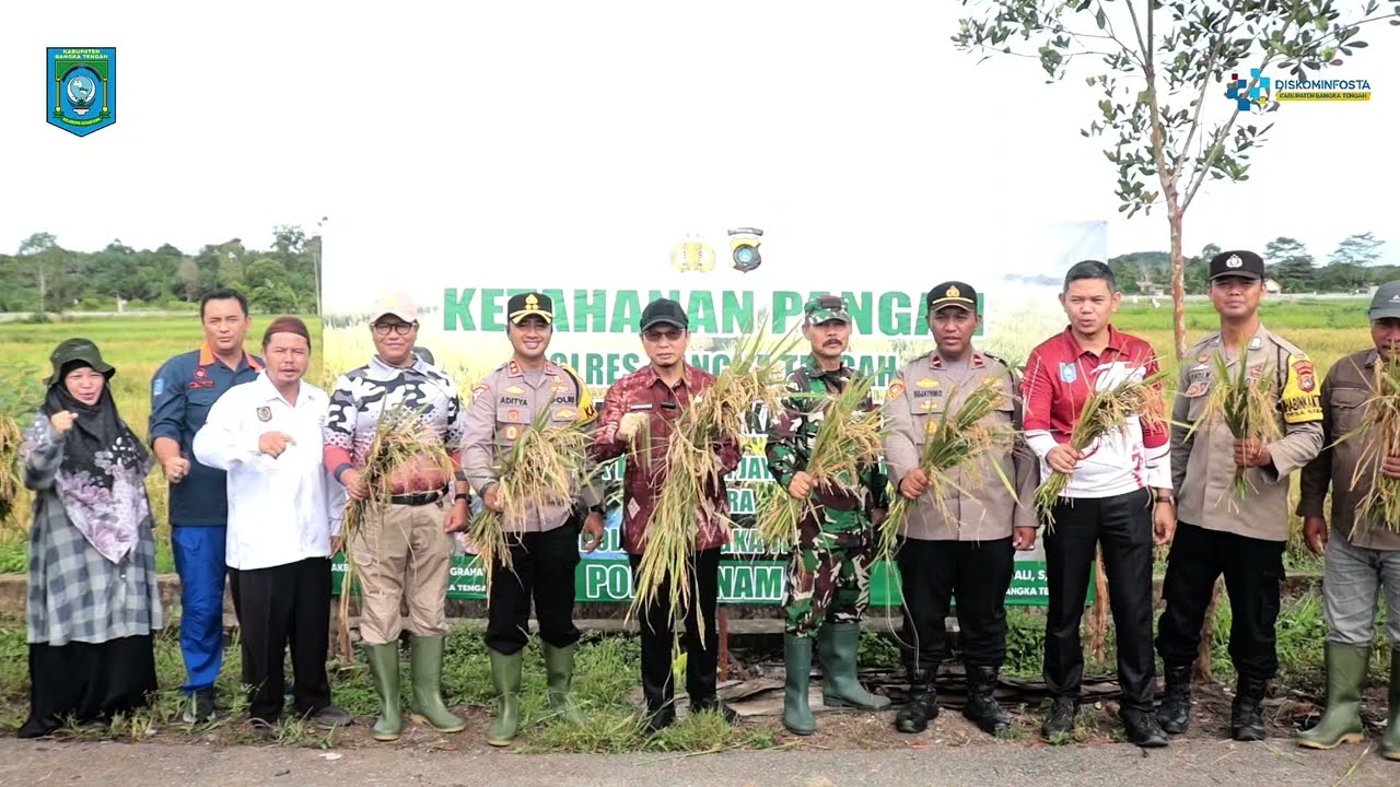 Panen Raya Padi Desa Namang