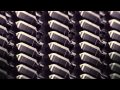 Savages - "Marshal Dear" 