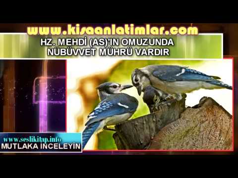 Hz. Mehdi'nin En Önemli Alametlerinden Biri; "Nübüvvet Mührü"