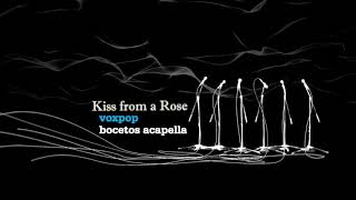 Kiss from a Rose Music Video