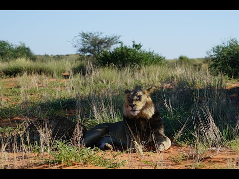 Namibia 2023 Teil 3/3 - Eindrücke aus dem Süden Namibias und der Kalahari.