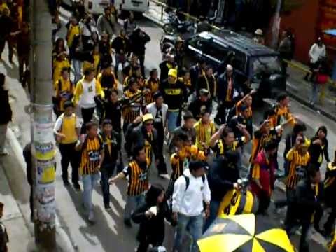 "Tigre Campeon y la Ultra Sur" Barra: La Gloriosa Ultra Sur 34 • Club: The Strongest • País: Bolívia