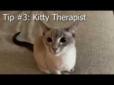 5 QUICK TIPS FOR CLIMBING FROM THE PROS (A guaranteed 300 LP boost!)