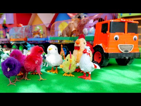 , title : 'Mobil Truk Tayo Pengangkut Hewan Menemukan Banyak Hewan Ayam warna warni Bebek lucu'