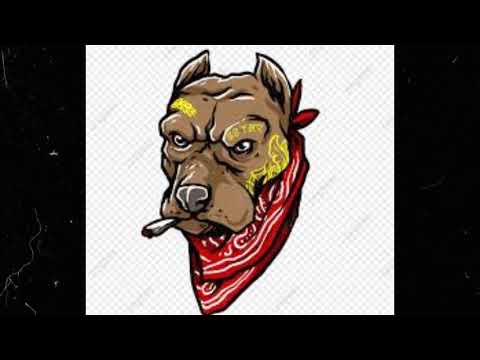 El lion - Maille pas