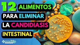 Candidiasis Crónica e Invasiva en el Intestino: El Enemigo Silencioso