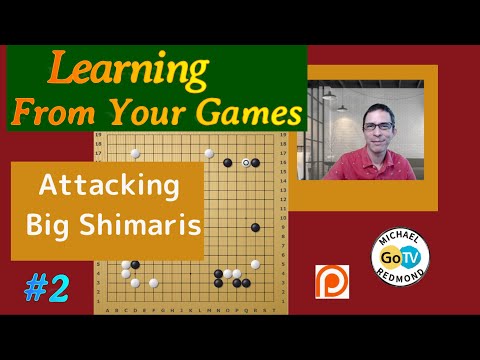 Attacking Big Shimaris