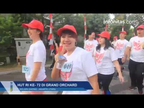 HUT RI Ke 72 di Grand Orchard HUT RI Ke 72 di Grand Orchard