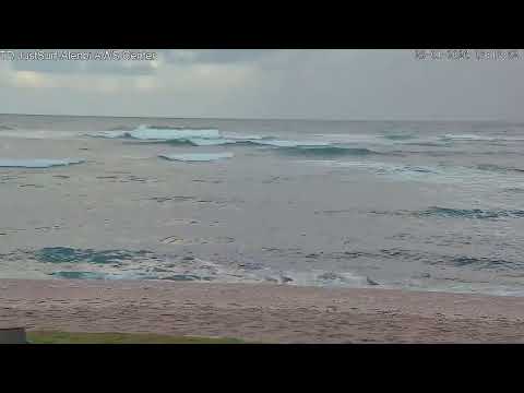 TD Just surf Alenbi WS Center Live 28JAN26