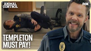 show video image in three sizes