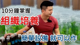 Re: [新聞] 快新聞／驚！麥玉珍自曝「把台灣火龍果