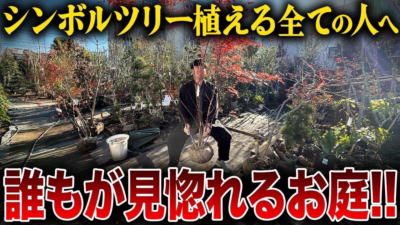 【制作事例】外構・エクステリア専門店YouTubeチャンネル「シンボルツリー初心者必見 2026完全版」現場ロケ動画