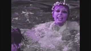 meg baird - back to you 2015