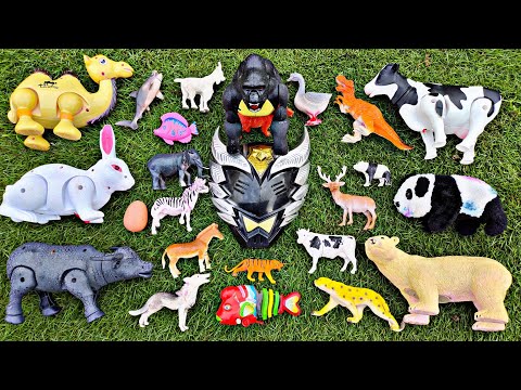 Wow!!! Lots of Toys There Crocodile Gorilla Bear Buffalo Cow Duck Duck Dog Wolf Fish