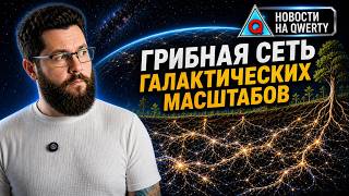 Приправа помогает при вакцинации. Чума была более опасной. AI в лаборатории. Н