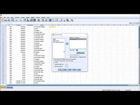 Using Automatic Recode Function In Spss