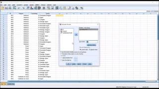 Using the Automatic Recode Function in SPSS