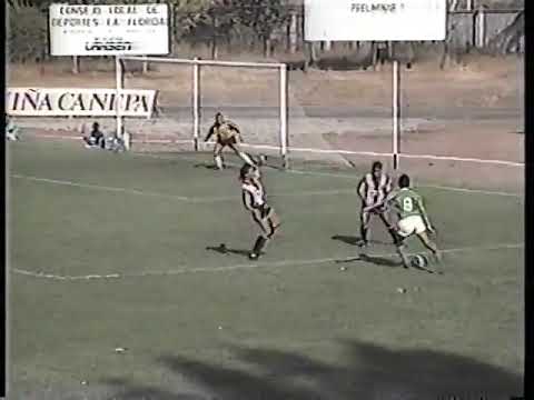 Audax Italiano 2 - 3 Palestino | Copa Chile 1991