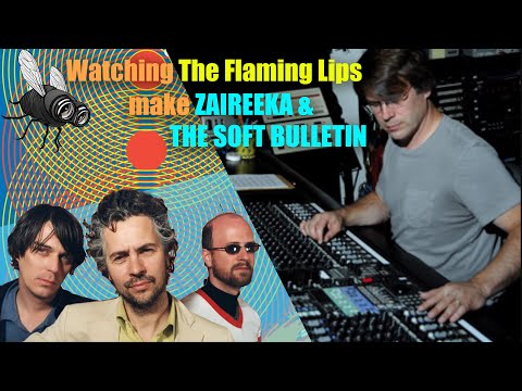 TEN LESSONS watching DAVID FRIDMANN and THE FLAMING ...