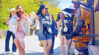 Don't Get Too Close… 🥺 Living Samurai Statue Prank Kyoto Japan #153 MQDEFAULT Thumbnail