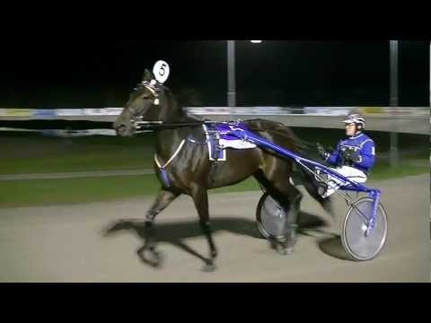 2011 Durk Minkema Memorial - Aida Boko (Hugo Langeweg Jr.)