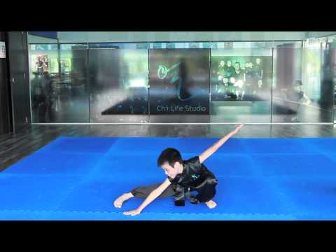 Wushu - A sport of discipline