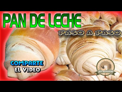 COMO HACER PAN DE LECHE , PAN CASCARITA, O PAN ROLLO, CON LECHE EN POLVO Y ALIÑADO PASO A PASO.