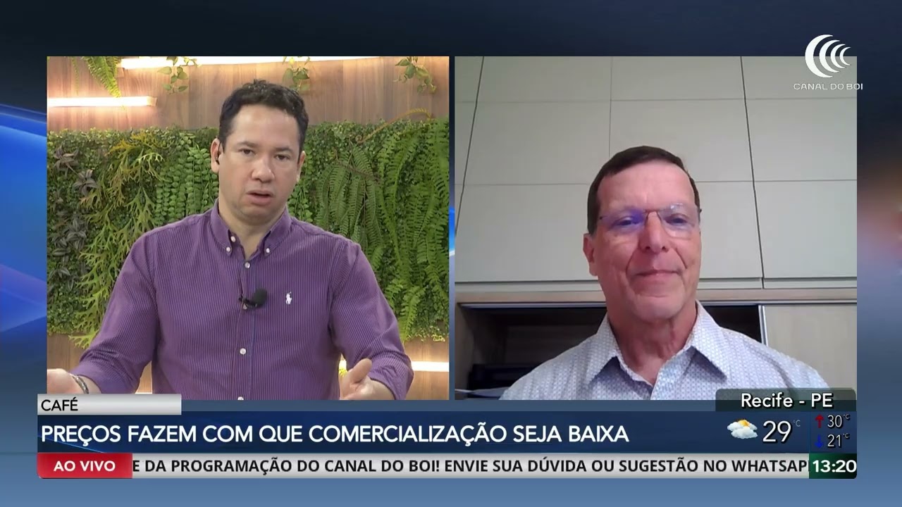 Preços do café limitam ritmo de comercialização
