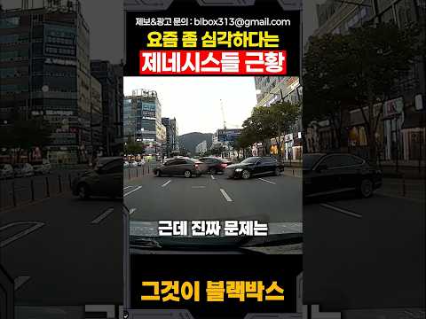 요즘 좀 심각하다는 제네시스들 근황