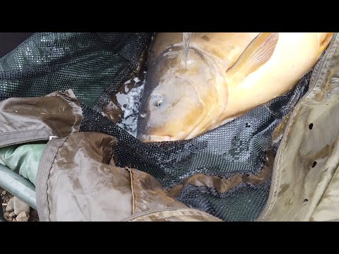 Karpfenangeln 2021 VTB04 erfolgreich am Steinfeldsee / la motta Part 2 Drone, Fish, Carp, Outdoor