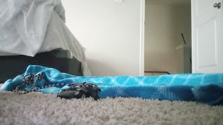 Episode 3: The Living Headphone Ending