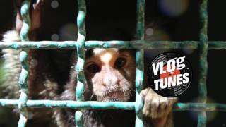 Guggenz   This Love I've Met