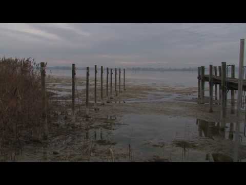 Det är en ros utsprungen - Jan Sandström - HD