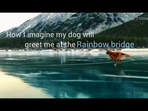 Dog Rainbow Bridge Images
