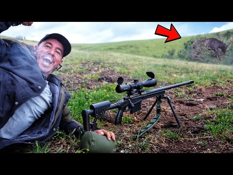 SHAUNO Goes Hunting & Gets A Sambar STAG