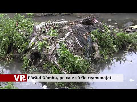 Pârâul Dâmbu, pe cale să fie reamenajat