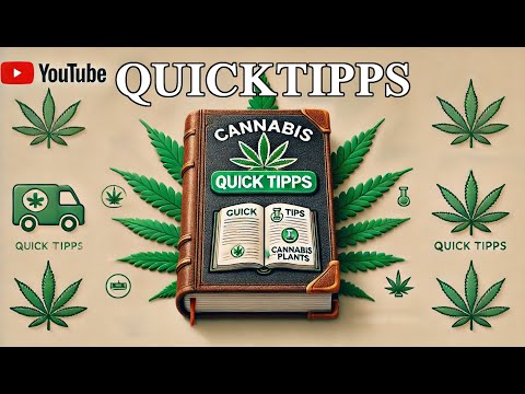 Herstellung von Cannabis Öl | Quicktipp #9