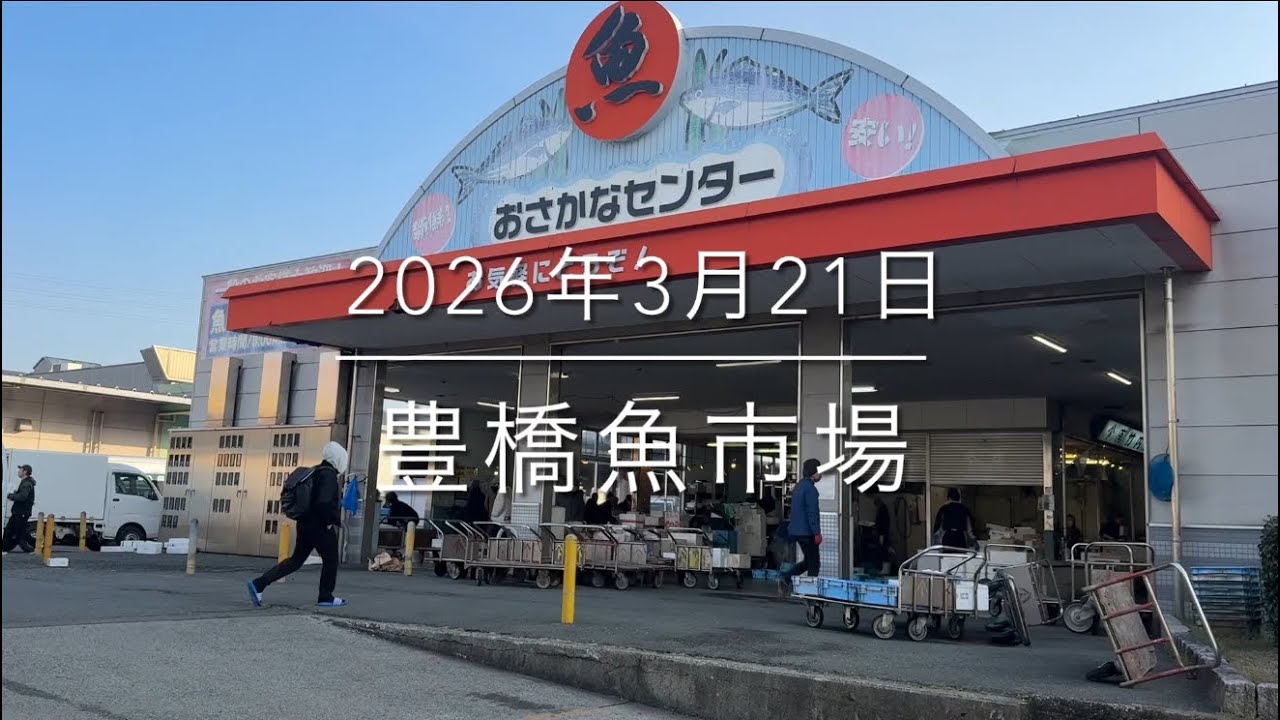 【こんな魚見たことない】深海魚が買える市場【見逃し厳禁】『豊橋魚市場』